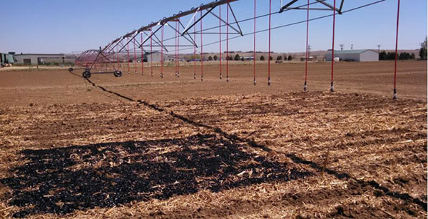Agricultural field sites where CSU researches are studying biochar's impacts on crop yields, water retention and GHG emissions