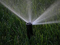 Home Sprinkler System