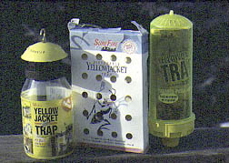 Yellowjacket traps