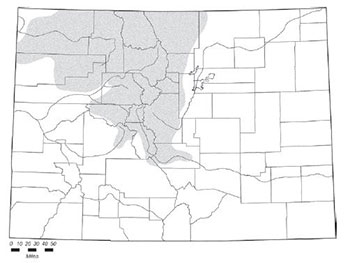 Wyoming ground squirrel distribution