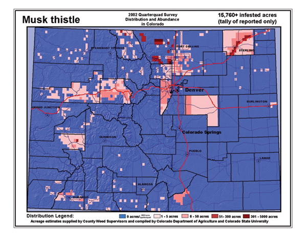 Musk thistle distribution in Colorado,  2002.
