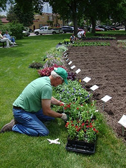 Planting at the Trial Gardens - photo by Craig Seymour