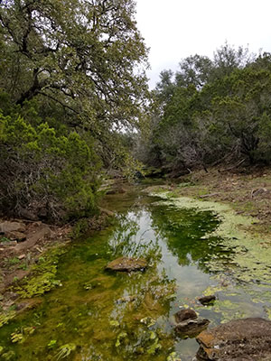 Hill country of Texas