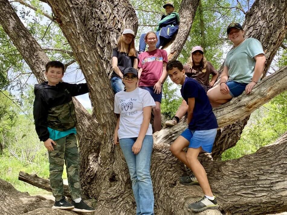 A group of youth sit and stand along the branches of a large tree in a wooded natural area on a sunny day.