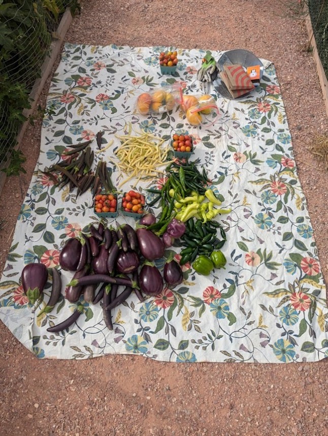 A variety of freshly harvested vegetables, including eggplant, peppers, beans, and tomatoes, are arranged on a patterned cloth laid on the ground.