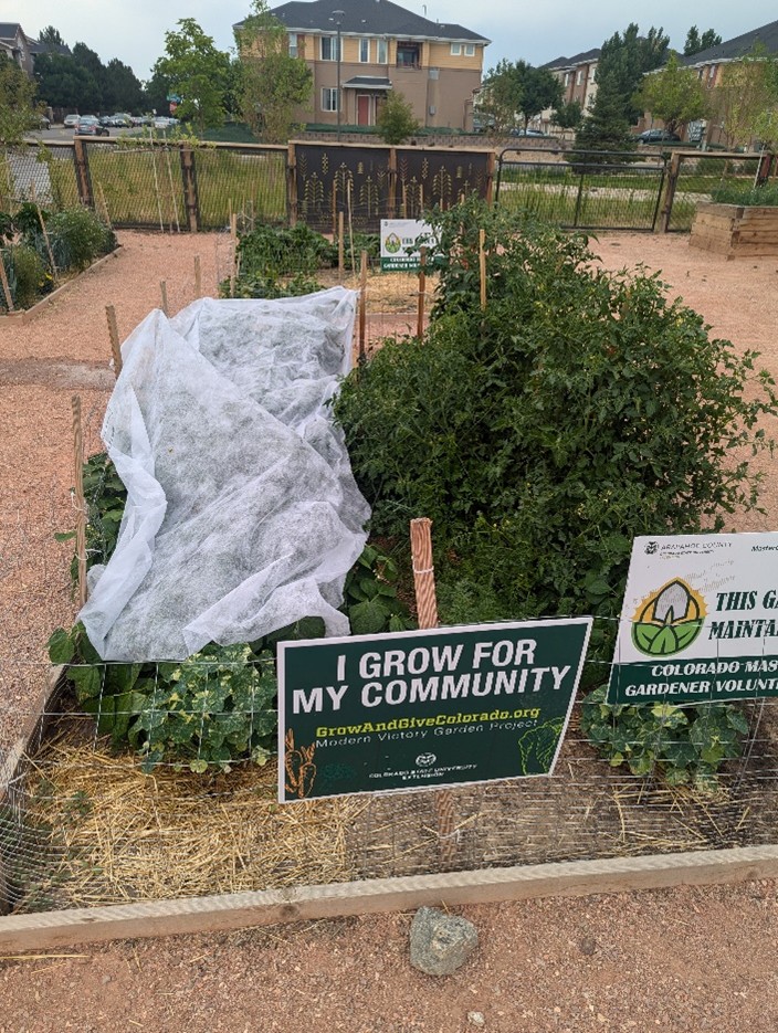 A raised garden bed with vegetables and a sign that reads “I Grow for My Community,” surrounded by fencing and nearby homes.