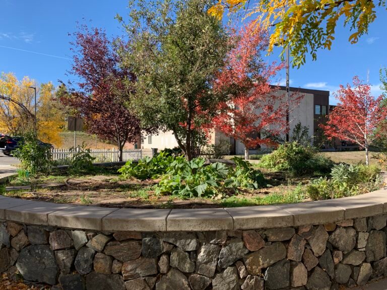 A circular raised garden bed surrounded by a stone wall features leafy plants and small trees with colorful fall foliage near a building.