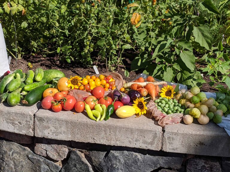 A variety of fresh vegetables, including cucumbers, tomatoes, peppers, carrots, and peas, are arranged on a stone ledge in a garden setting.