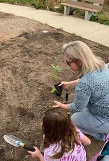 An adult and a child kneel on the ground planting a small seedling in a garden bed with hand tools.