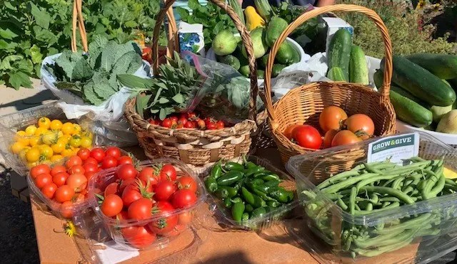 A table displays baskets and containers of fresh vegetables, including tomatoes, green beans, peppers, cucumbers, and leafy greens in an outdoor garden setting.