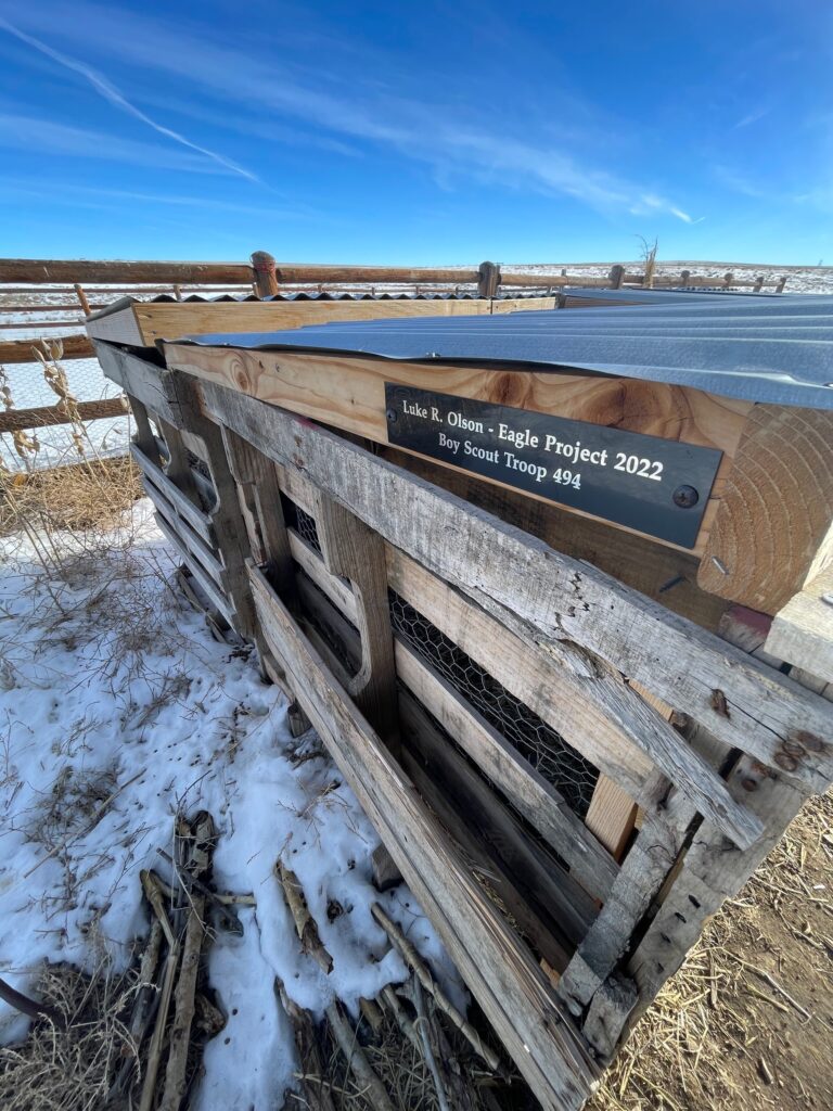 A wooden compost bin with a metal lid sits outdoors in a snowy field, with a plaque reading “Luke R. Olson – Eagle Project 2022, Boy Scout Troop 494” mounted on the side.