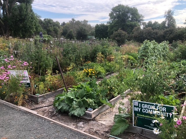 A community garden with multiple raised beds filled with vegetables and flowers, featuring a sign that reads “I Grow for My Community,” surrounded by trees and greenery under a cloudy sky.