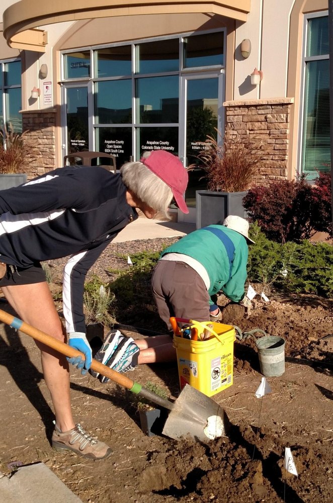 Two volunteers dig and plant in a landscaped bed outside a building, using a shovel and gardening tools.