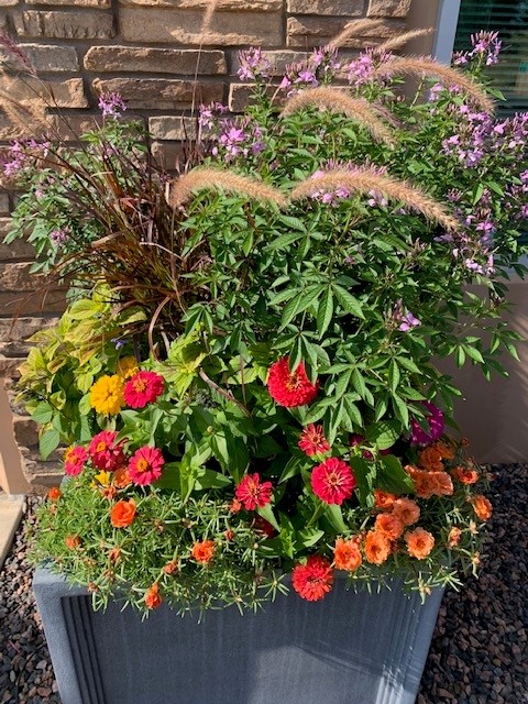 A large planter filled with colorful flowers and ornamental grasses sits against a brick wall in an outdoor setting.