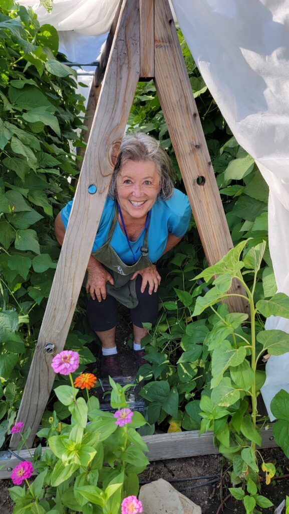 A person stands inside a garden arch structure surrounded by dense green plants and flowers growing around the frame.