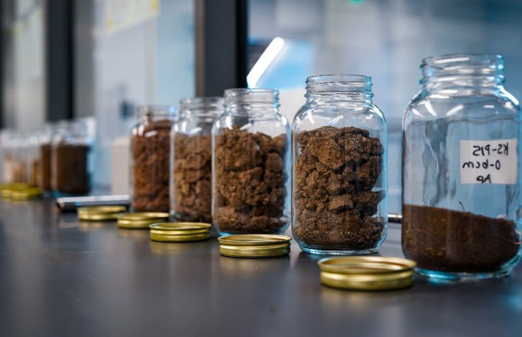 A row of glass jars filled with soil samples sits on a lab counter, with lids placed nearby and a labeled jar at the front.