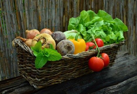 basket filled with a colorful assortment of fresh garden vegetables