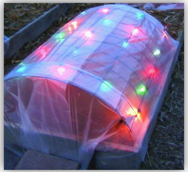 A low hoop tunnel covered in sheer white fabric over a garden bed, decorated with strings of colorful LED lights glowing from within, set outdoors near mulch and a low wall.