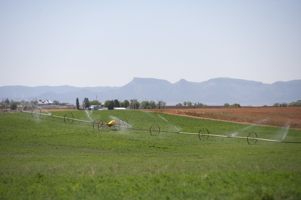 Irrigation system watering crop field with silhouette of mountain range in the distance.