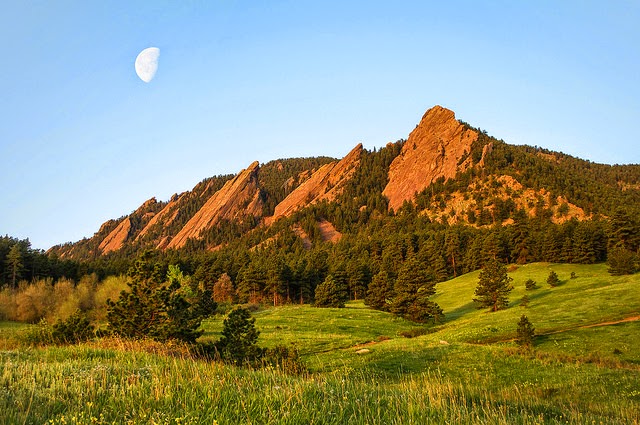 Flatirons in Boulder, Colorado. Tall Evergreens are growing at the base of the flatirons.