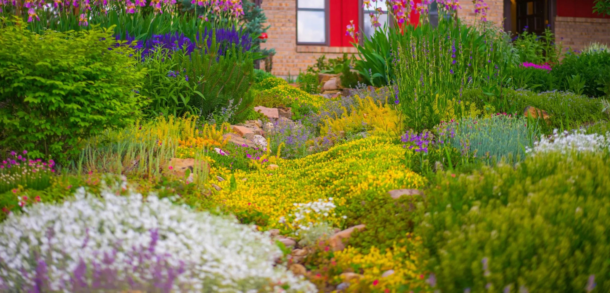 Garden in a box in Boulder, Colorado