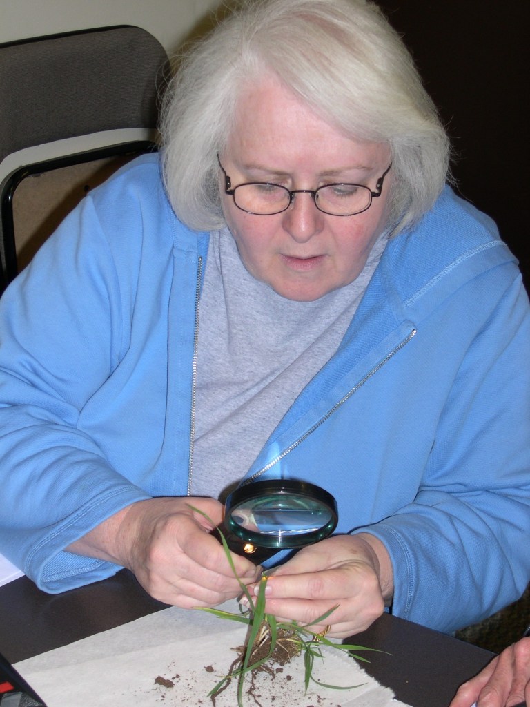 Diane inspecting turf with a magnifying glass.