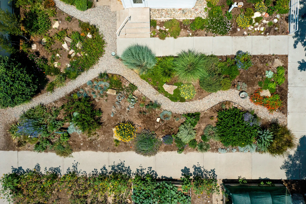 Aerial view of a landscaped yard