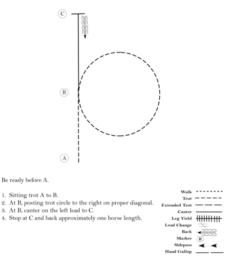 Diagram showing an example of the Hunter Seat Equitation