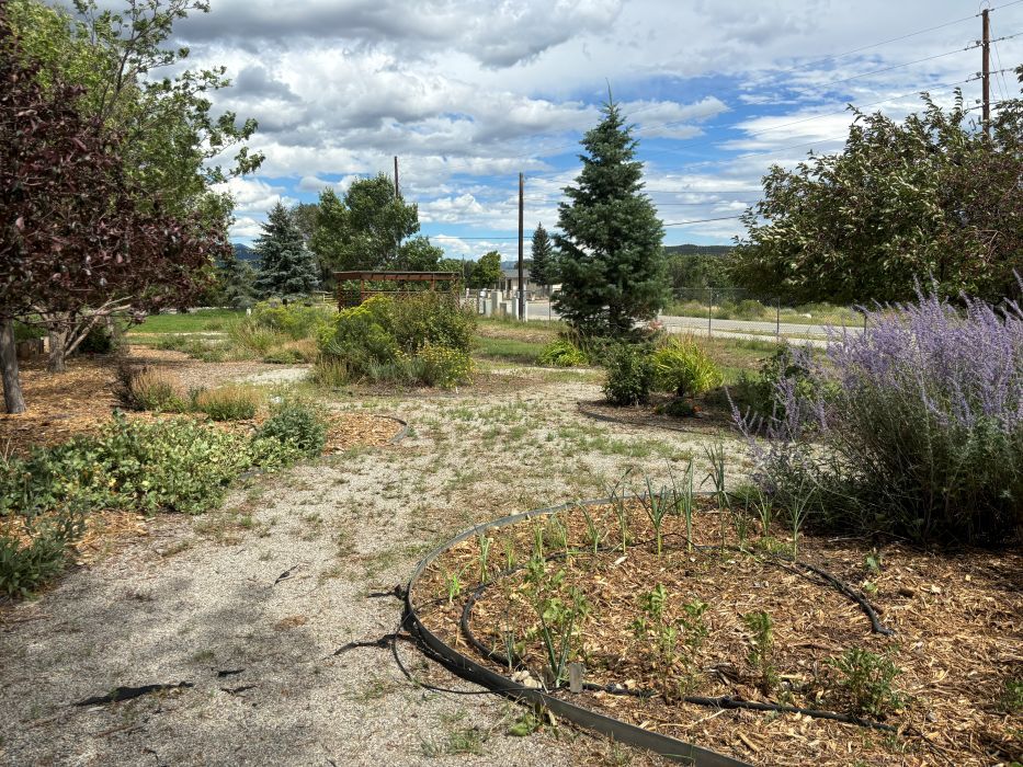 A demonstration garden with gravel pathways winding through mulched planting beds filled with shrubs, flowering plants, ornamental grasses, and small trees.