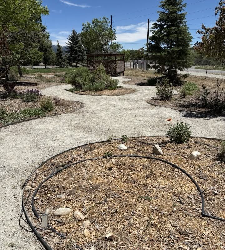 A demonstration garden with winding gravel pathways bordered by mulched planting beds containing shrubs, small trees, and drought‑tolerant plants.