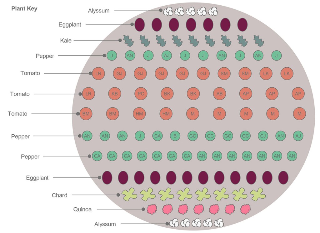 A circular garden diagram showing placement of tomatoes, peppers, eggplant, chard, quinoa, alyssum, and kale varieties