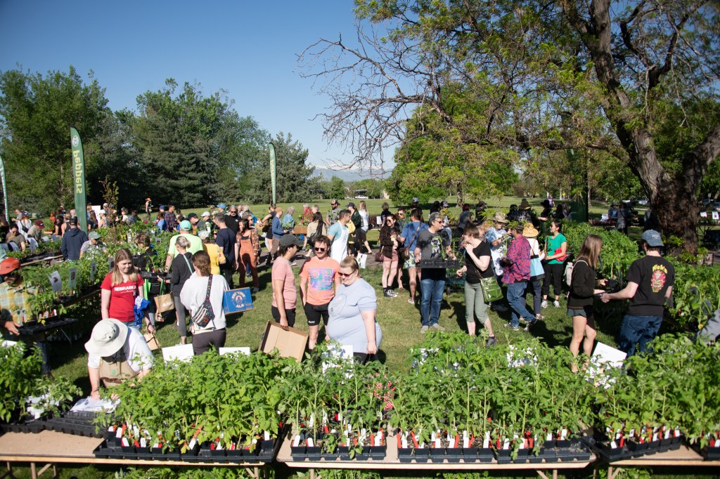 A group of people gather together outdoors at a public market