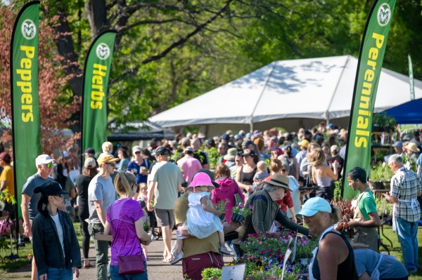 Denver Extension open-air plant sale and produce market
