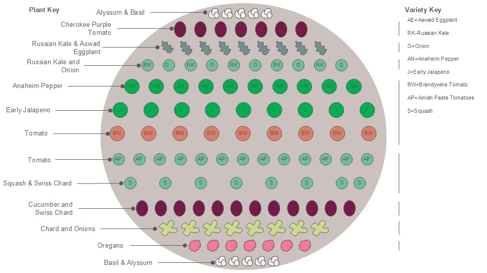 Vegetable Garden Diagram - Denver County | CSU Extension