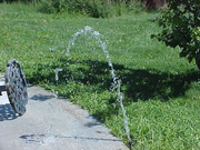 Figure 2: Broken sprinkler head.