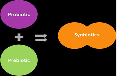 synbiotics