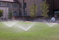 Watering Established Lawns - 7.199 - Extension