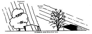 Efecto de árboles decíduos en el verano y en el invierno.