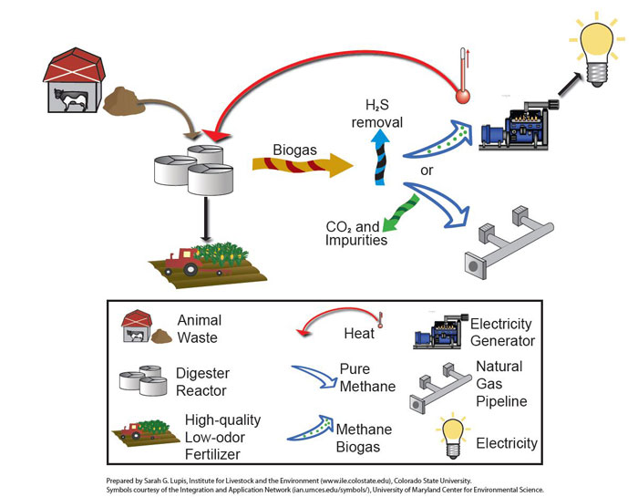 Anaerobic Digestion of Animal Wastes in Colorado  - Extension