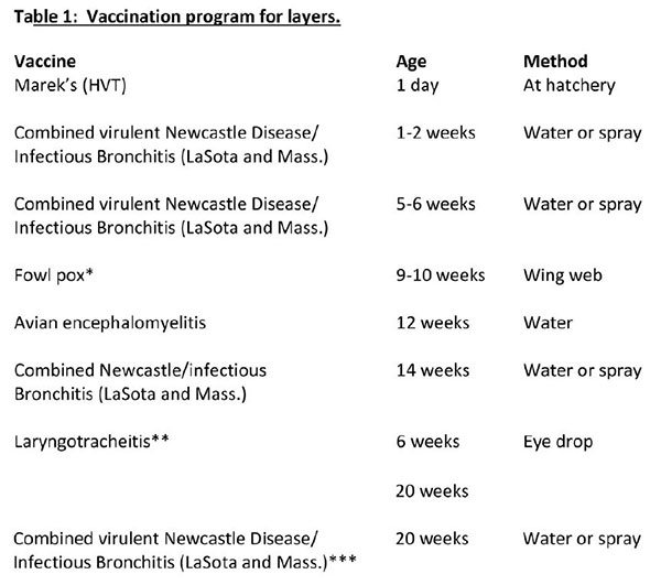 vaccination programs for layers
