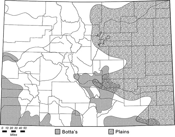 Distribution map of Botta’s (Thomomys bottae) and Plains (Geomys bursarius) pocket gophers.