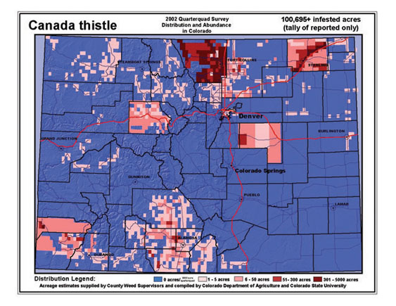 2002 distribution of Canada thistle in Colorado.