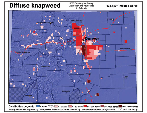 Figure 8. A 2005 survey conducted by the Colorado Department of Agriculture found 138,443 infested acres of diffuse knapweed.