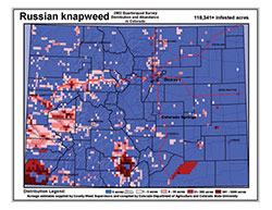 2002 distribution of Russian knapweed in Colorado.