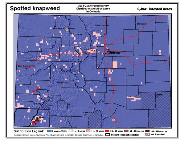 Figure 9. A 2004 survey conducted by the Colorado Department of Agriculture found 9,493 infested acres of spotted knapweed.