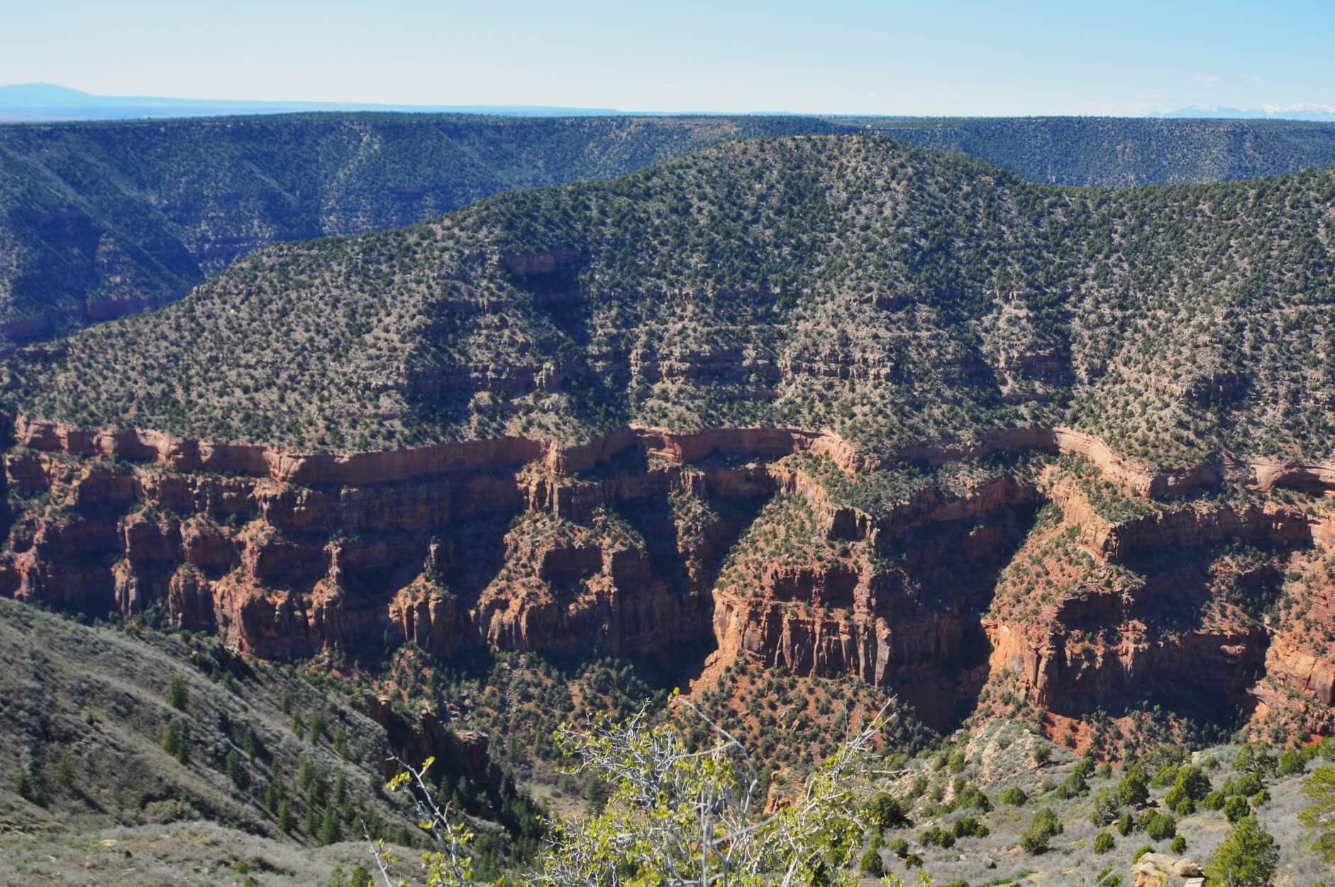 Wide view of a deep red‑rock canyon with layered cliffs and shrub‑covered mesas stretching across the horizon under a clear blue sky.
