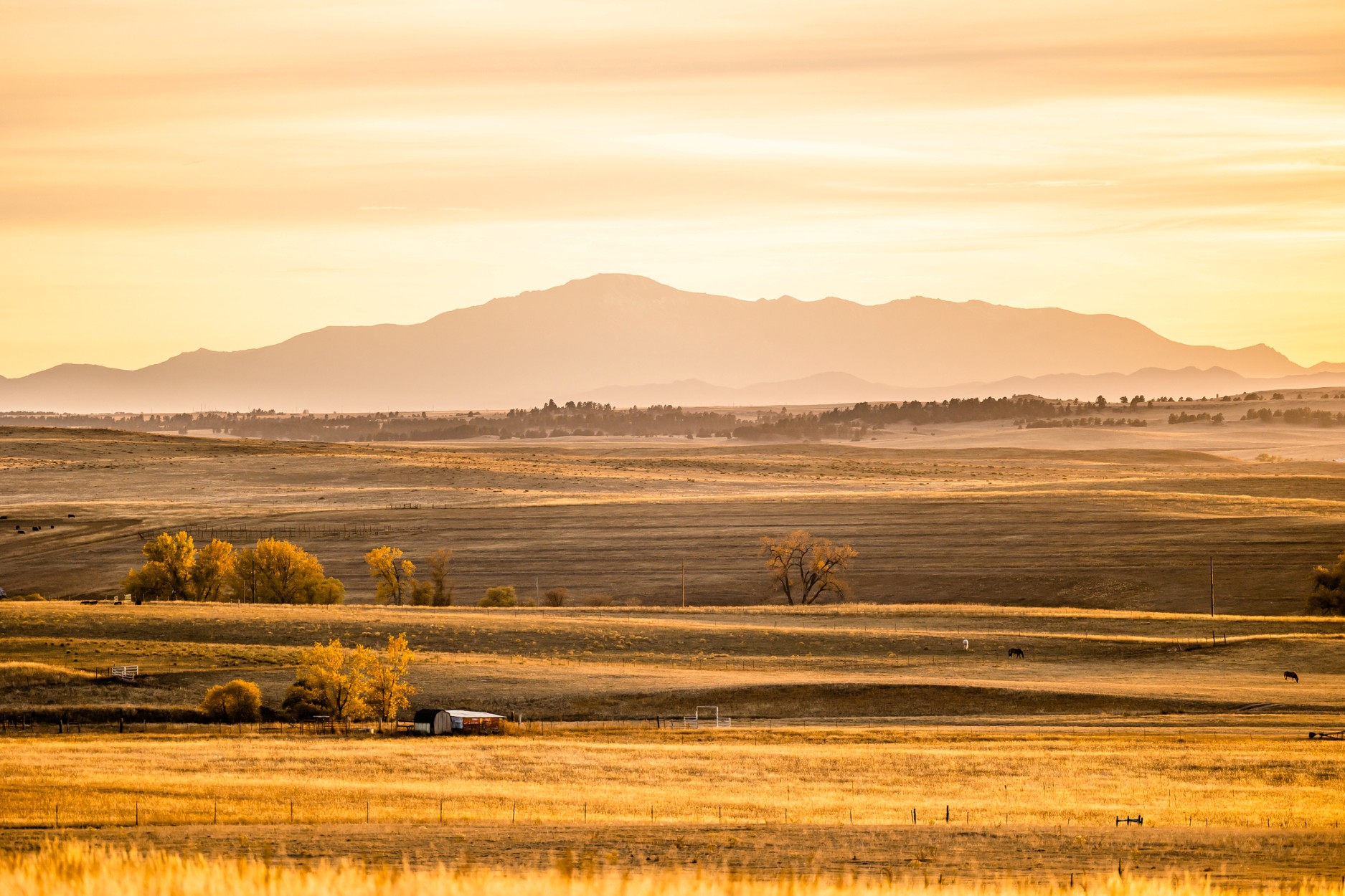 Wide view of rolling plains and farmland glowing in golden light, with scattered trees, open fields, and distant mountain silhouettes under a soft sunset sky.