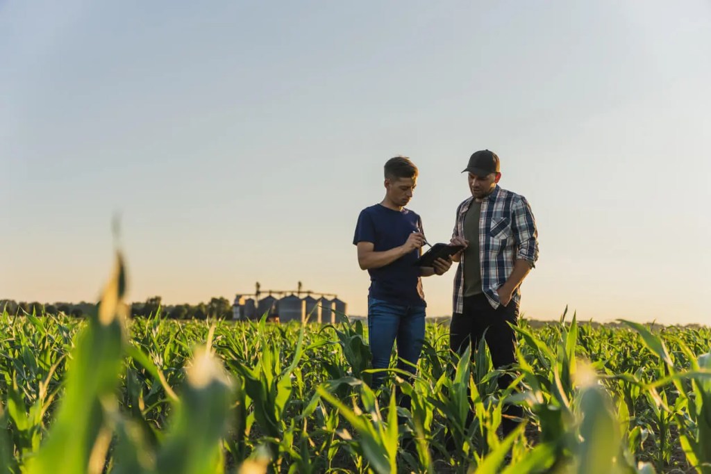 Two men talk in a field of crops