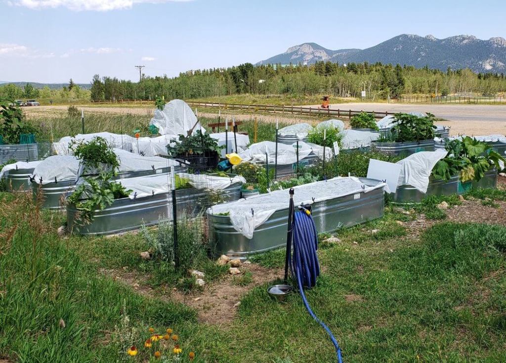 A community garden filled with raised metal beds covered in row cloth, set in an open field with mountains and pine trees in the background.