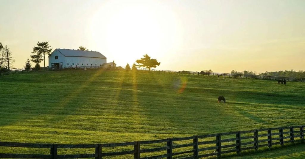 A green ranch landscape with barn and pasture.